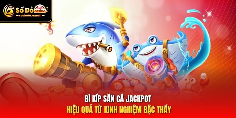Bí kíp săn cá Jackpot hiệu quả từ kinh nghiệm bậc thầy
