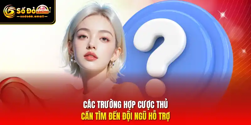 Các trường hợp cược thủ cần tìm đến đội ngũ hỗ trợ