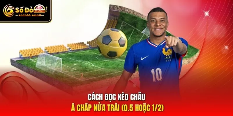 Cách đọc kèo Châu Á chấp nửa trái (0.5 hoặc 1/2)