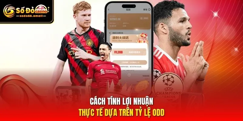 Cách tính lợi nhuận thực tế dựa trên tỷ lệ Odd