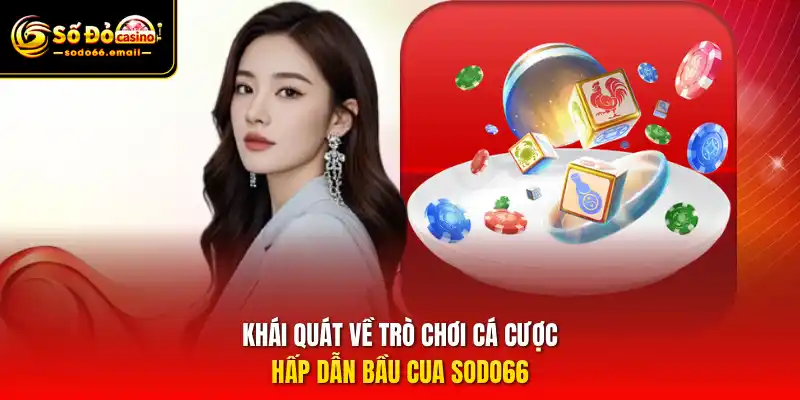 Khái quát về trò chơi cá cược hấp dẫn Bầu Cua SODO66