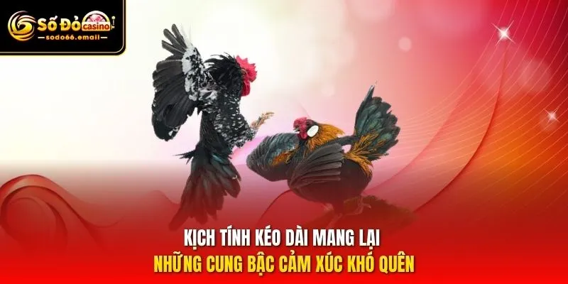 Kịch tính kéo dài mang lại những cung bậc cảm xúc khó quên