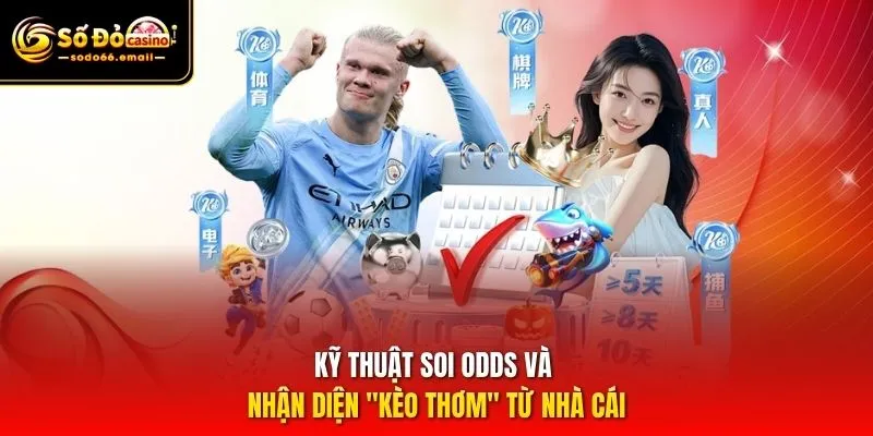 Kỹ thuật soi Odds và nhận diện "kèo thơm" từ nhà cái