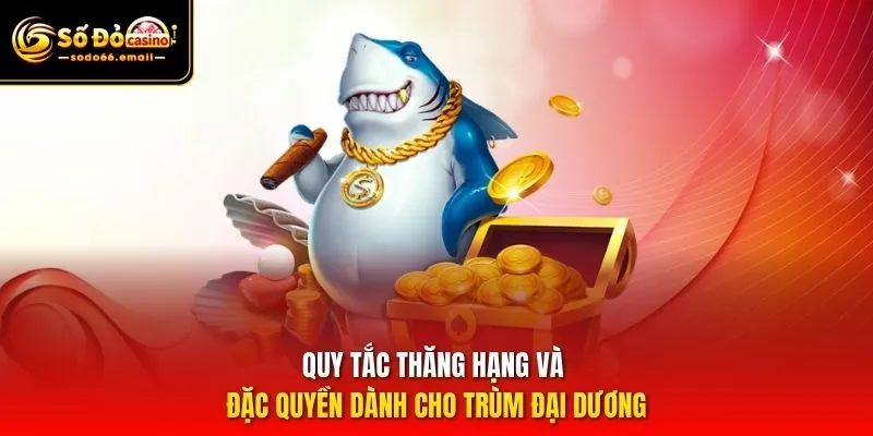 Quy tắc thăng hạng và đặc quyền dành cho Trùm đại dương