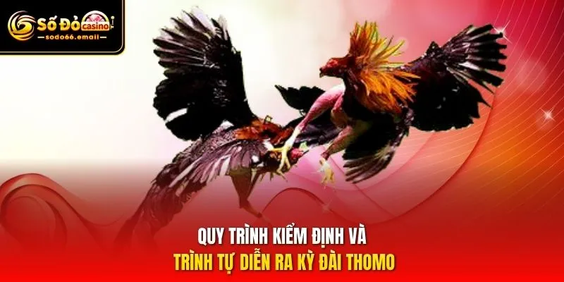 Quy trình kiểm định và trình tự diễn ra kỳ đài Thomo