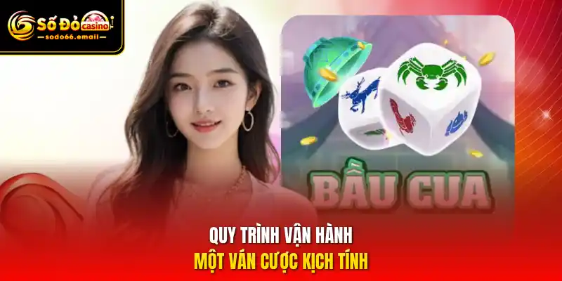 Quy trình vận hành một ván cược kịch tính