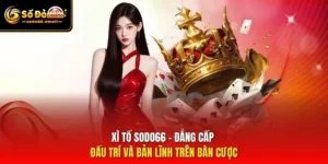 Xì Tố SODO66 - Đẳng Cấp Đấu Trí Và Bản Lĩnh Trên Bàn Cược
